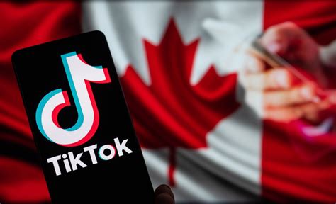 TikTok · cadaea.